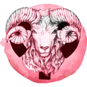 Ram