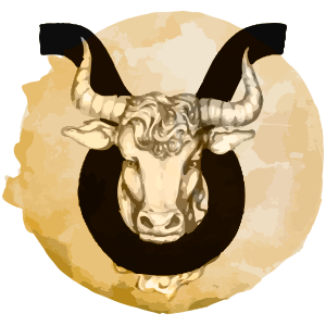 Stier