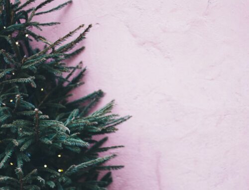 Wat te doen met kerst in Arnhem?