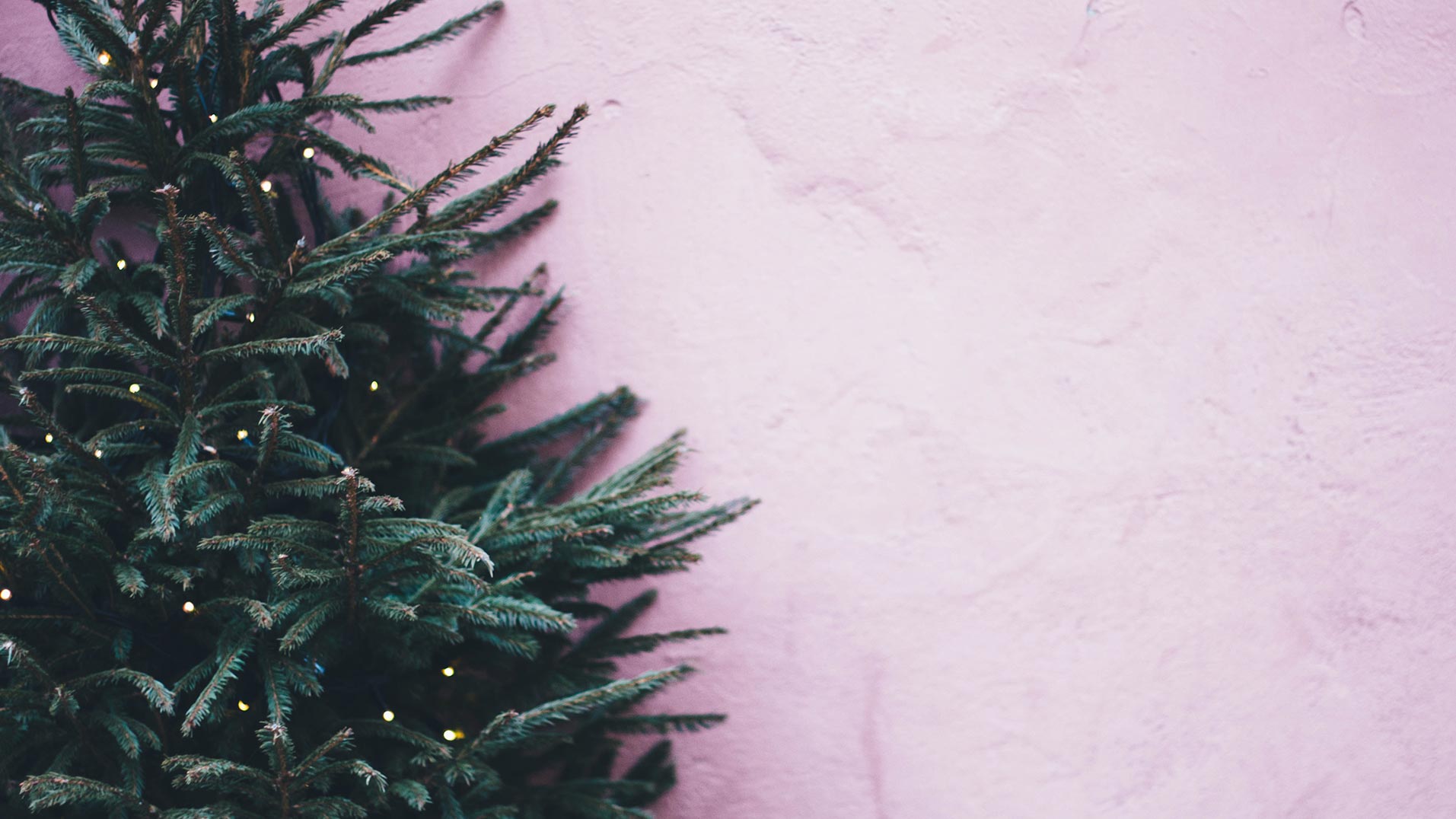 Wat te doen met kerst in Arnhem?